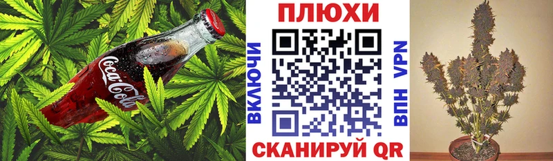 Canna-Cookies марихуана  Новомосковск 