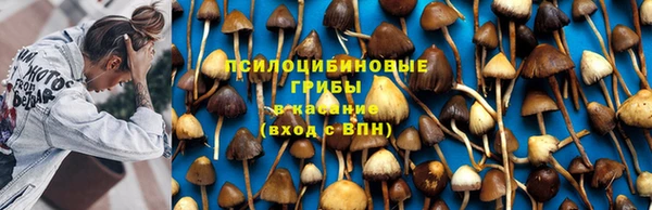 наркотики Аркадак