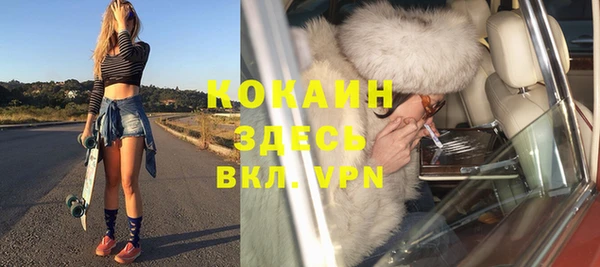 прущие грибы Зерноград