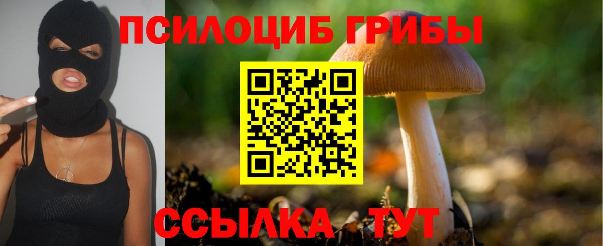 Галлюциногенные грибы мухоморы  Галлюциногенные грибы Psilocybe  Новомосковск  Вход с VPN 